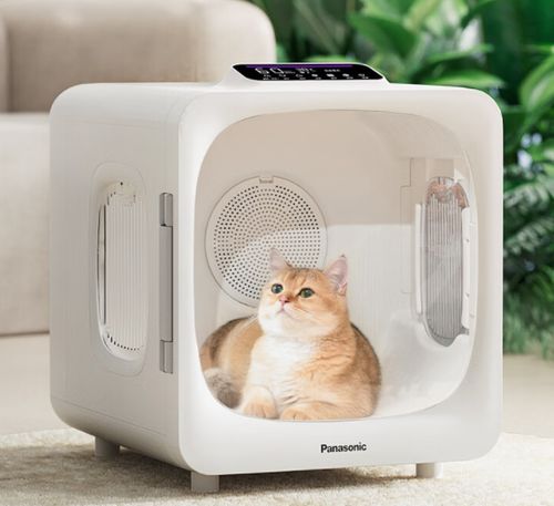 618寵物家電精選指南 智慧科技，開啟愛寵舒適新生活