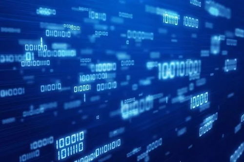 風口到來，大掌柜半年斬獲兩輪融資，上海網絡技術服務賽道迎來新標桿