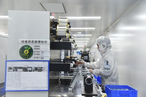 踐行協同聯動創新發展理念，業達經發集團以全鏈條服務賦能專精特新企業成長