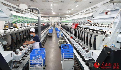 河北東光 科技賦能打造高質量產品，搶占國際市場新機遇