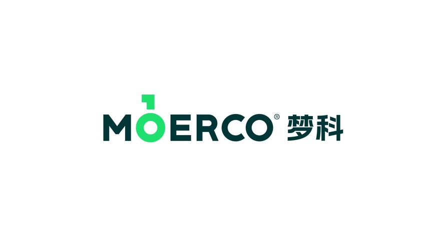 軟件開發;計算機軟硬件及外圍設備制造;集成電路芯片及產品制造;信息